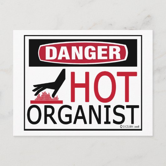 Carte Postale Organiste (Devant)