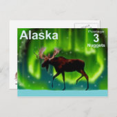 Carte Postale Orge aurifère (Devant / Derrière)