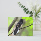 Carte postale Orientale (Debout devant)