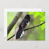 Carte postale Orientale (Devant / Derrière)