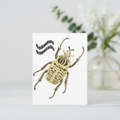 Carte Postale Orientalis de Goliathus (Debout devant)