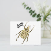 Carte Postale Orientalis de Goliathus (Debout devant)