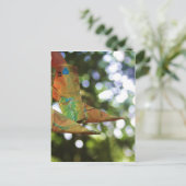 Carte Postale Origami (Debout devant)