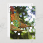 Carte Postale Origami (Devant / Derrière)