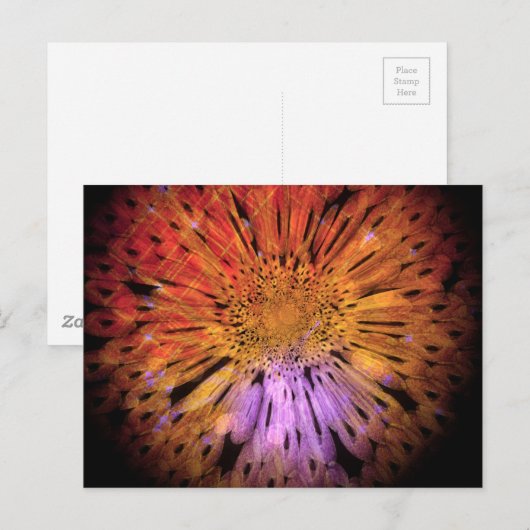 Carte postale originale (Devant / Derrière)