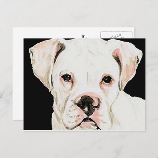 Carte postale originale de la boîte blanche (Devant / Derrière)