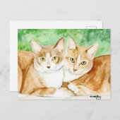 Carte postale originale de Yellow Cat Sisters (Devant / Derrière)