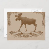 Carte Postale orignaux Maine (Devant / Derrière)