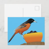 Carte postale Oriole (Devant / Derrière)