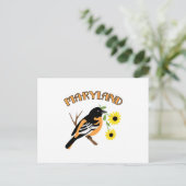 Carte Postale Oriole du Maryland (Debout devant)