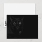 Carte Postale Orion Mon Chat BlackOut  (Devant / Derrière)