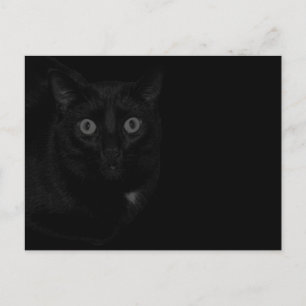 Carte Postale Orion Mon Chat BlackOut