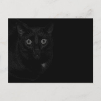Carte Postale Orion Mon Chat BlackOut