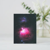 Carte Postale Orion Nebula 2 (Debout devant)