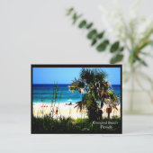 Carte Postale ormondbeach (Debout devant)