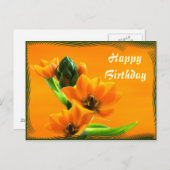 Carte Postale Ornithogalum dubium (Devant / Derrière)