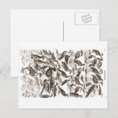 carte postale ornithologie (Devant / Derrière)