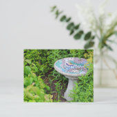 Carte postale ornithologique (Debout devant)