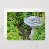 Carte postale ornithologique (Devant / Derrière)