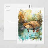 Carte Postale Ornithorynque à l'aquarelle nageant dans l'étang (Devant / Derrière)