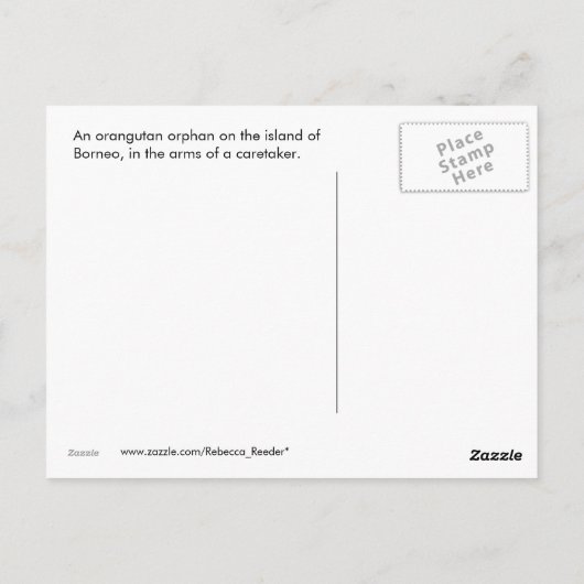 Carte Postale Orphelins Animaux (Dos)