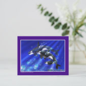 Carte Postale orques (Debout devant)