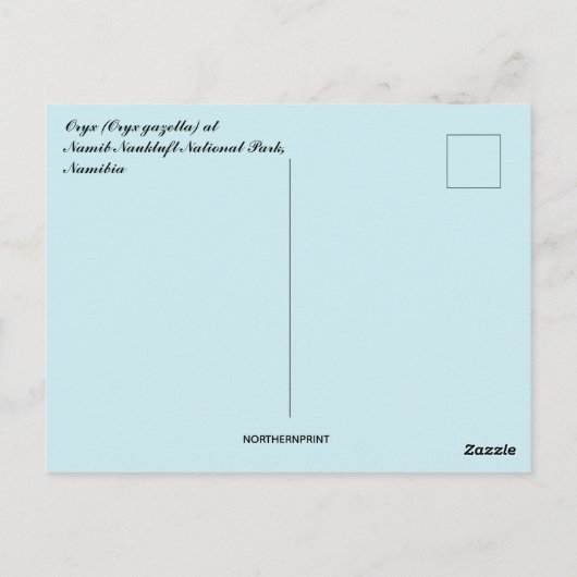 Carte Postale Oryx Gazella Namib Parc national Naukluft Namibie (Dos)