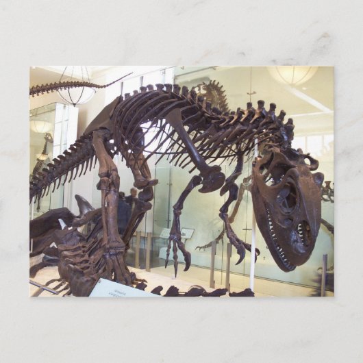 Carte Postale Os (Devant)