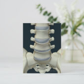 Carte Postale Os de Lumbar Vertebrae 2 (Debout devant)