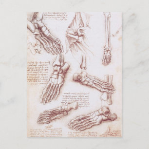 Carte Postale Os de pied de l'anatomie humaine par Leonardo da V