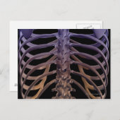 Carte Postale Os du dos (Devant / Derrière)