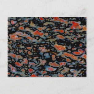 Carte Postale Os fossile de dinosaure pétrifié coloré