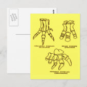 Carte Postale Os Pieds Dinosaur (Devant / Derrière)