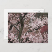 Carte Postale Osaka, Japon (Devant / Derrière)