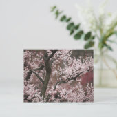 Carte Postale Osaka, Japon (Debout devant)