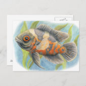 Carte Postale Oscar de tigre de bébé (Devant / Derrière)