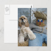 Carte Postale Oscar et Phil (Devant / Derrière)