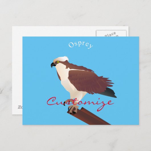 Carte Postale Osprey Hawk Raptor Thunder_Cove (Devant / Derrière)