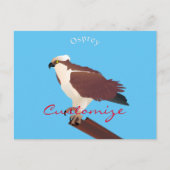Carte Postale Osprey Hawk Raptor Thunder_Cove (Devant)