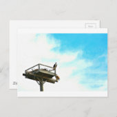 Carte Postale Osprey Nest (Devant / Derrière)