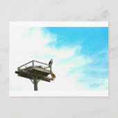 Carte Postale Osprey Nest (Devant)