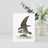 Carte Postale Osprey par Audubon (Debout devant)