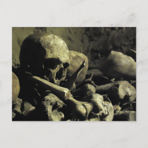 Carte Postale ossements des catacombes