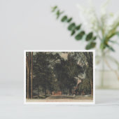 Carte Postale Ossining on the Hudson, Ellis Place View, 1907 (Debout devant)