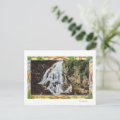 Carte Postale Ossipee Mountain Park Vue du Voile nuptial (Debout devant)