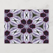 Carte Postale Ostéospermum Abstrait (Devant)