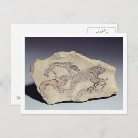 Carte Postale Ostracon depicting a dog chasing a hyena (limeston (Devant / Derrière)