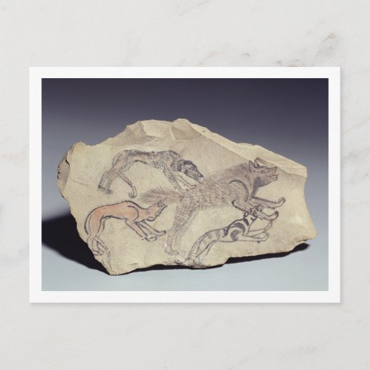 Carte Postale Ostracon depicting a dog chasing a hyena (limeston (Devant)