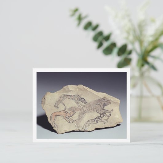 Carte Postale Ostracon depicting a dog chasing a hyena (limeston (Debout devant)
