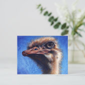 Carte postale Ostrich (Debout devant)